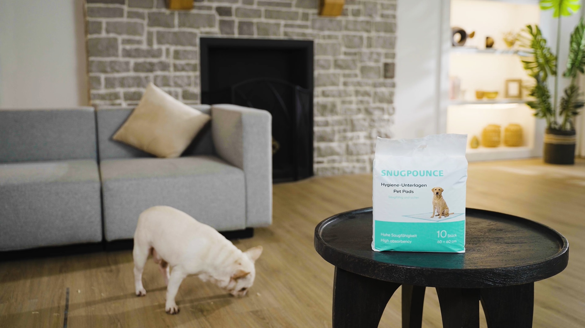 snugpounce-banner2